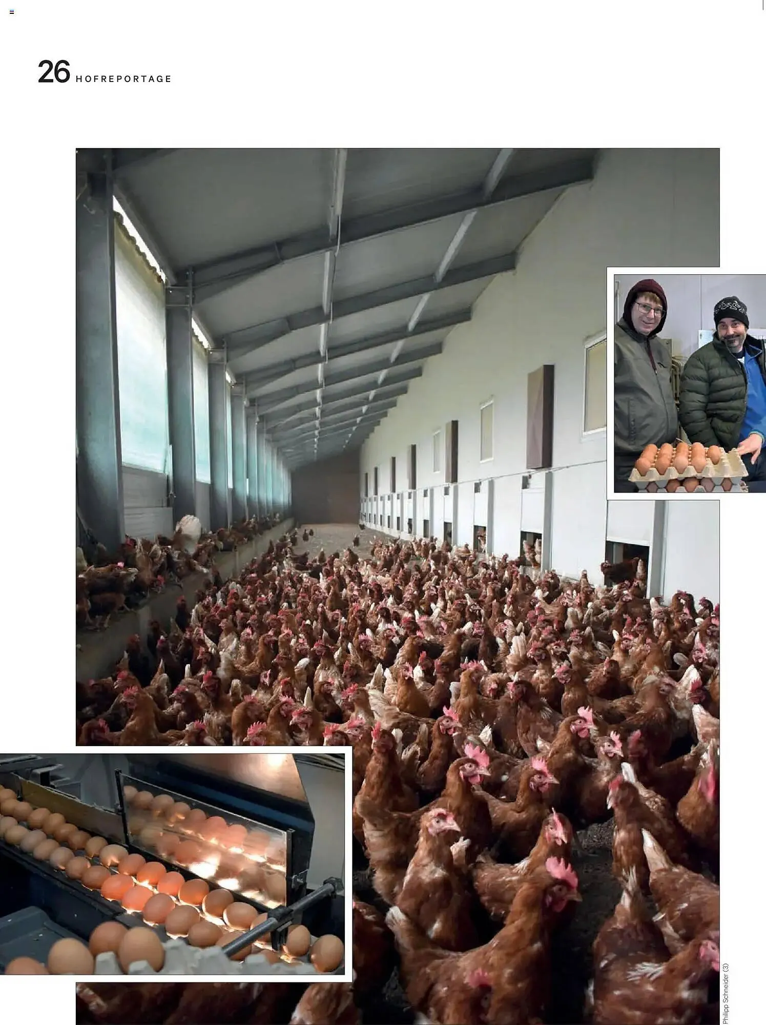 Lagerhaus Flugblatt von 1. Jänner bis 28. Februar 2026 - Flugblätt seite 26