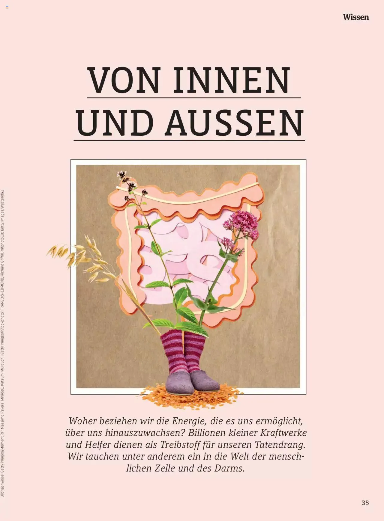 Denns BioMarkt KREO Magazin von 14. Februar bis 3. März 2024 - Flugblätt seite 35