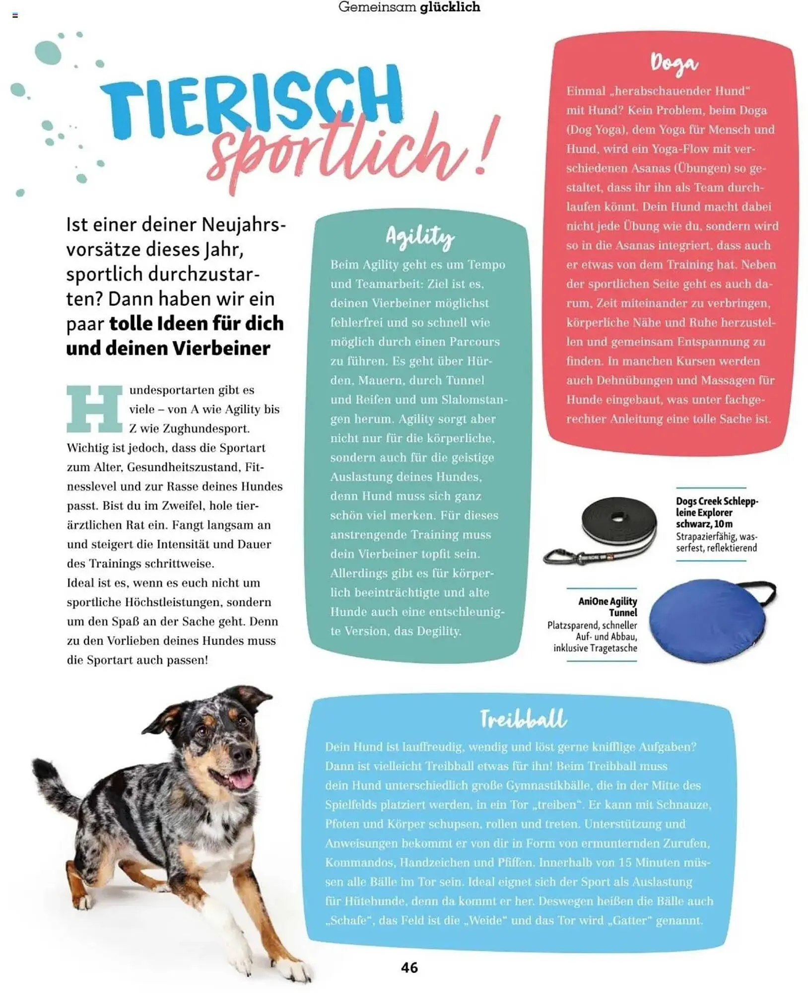 Fressnapf Flugblatt von 2. Jänner bis 2. März 2025 - Flugblätt seite 46