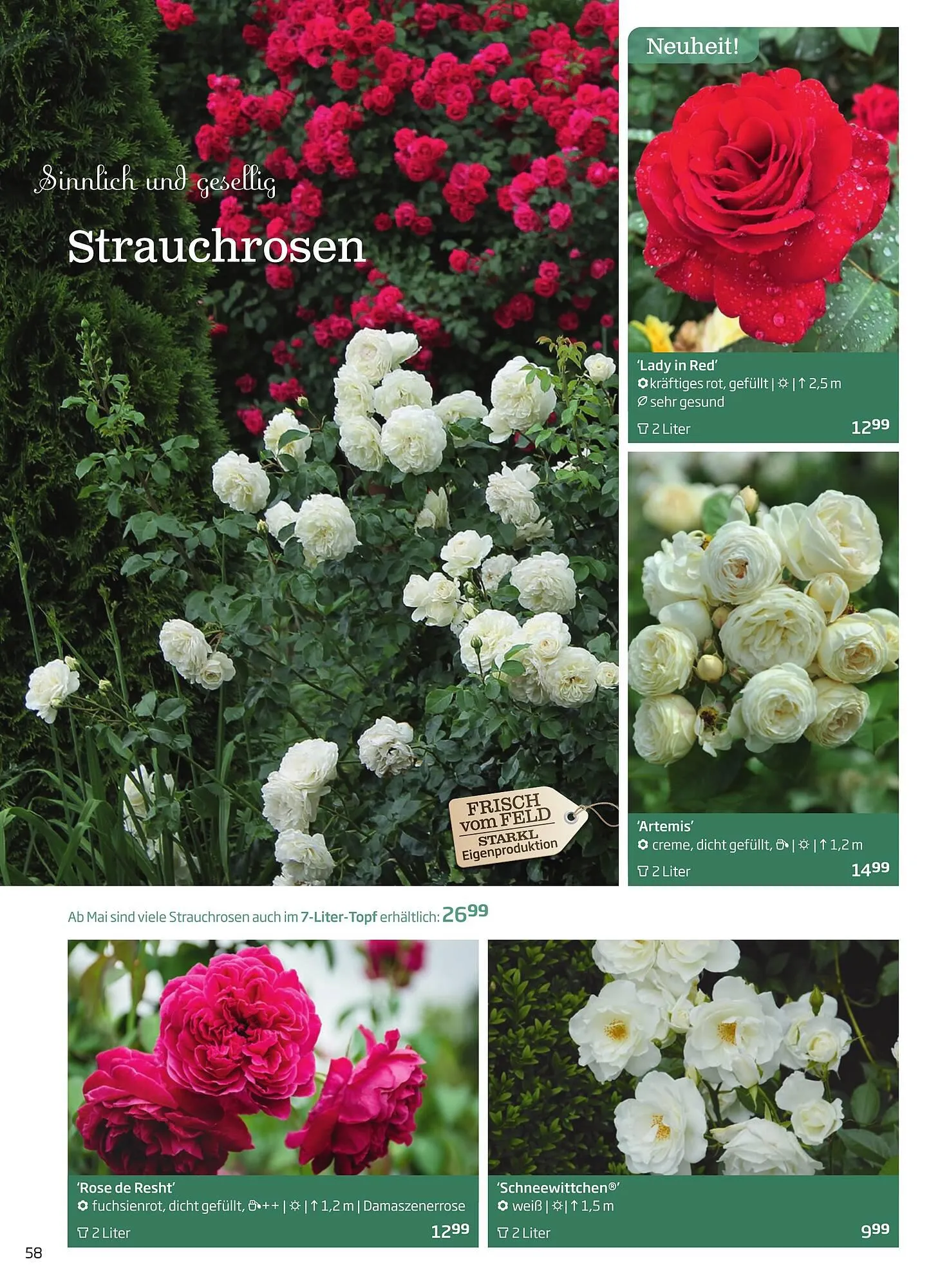 Starkl Flugblatt von 1. April bis 31. Dezember 2024 - Flugblätt seite  58