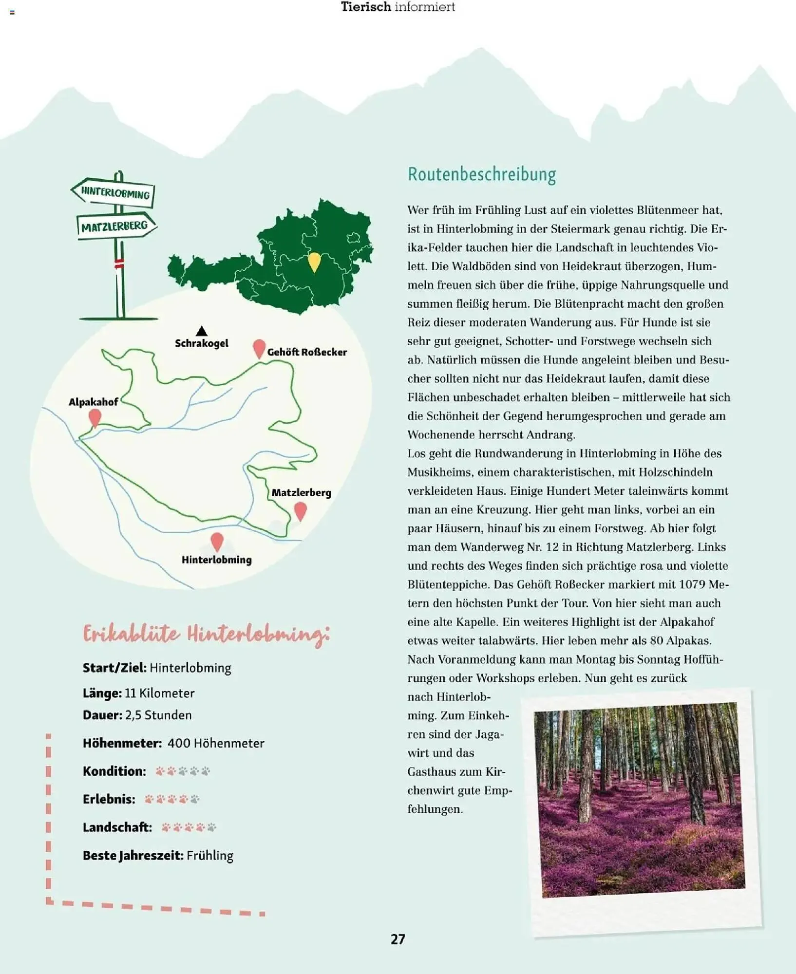 Fressnapf Flugblatt von 1. März bis 30. April 2026 - Flugblätt seite 27
