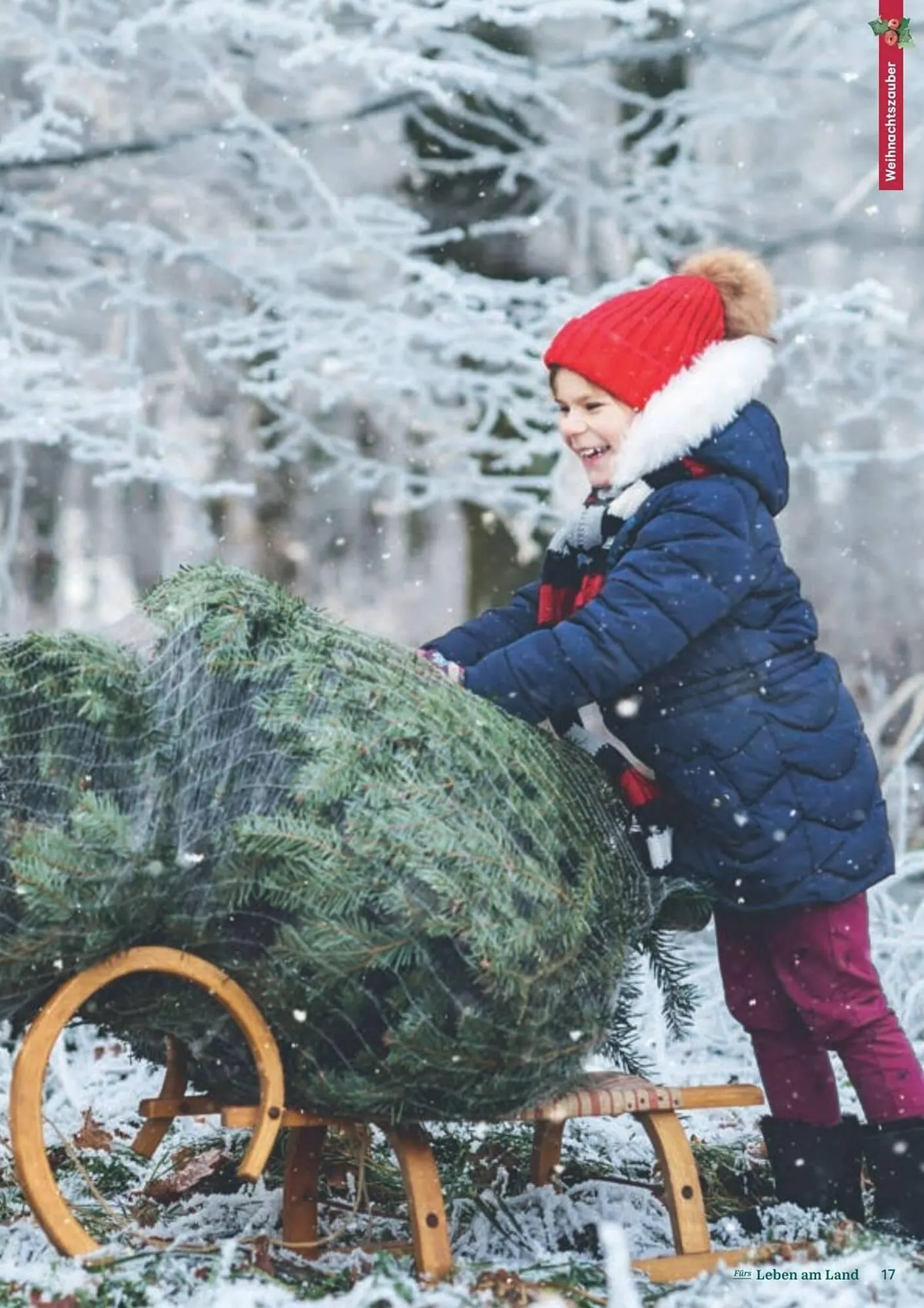 Lagerhaus Flugblatt von 11. Dezember bis 6. Februar 2026 - Flugblätt seite  17