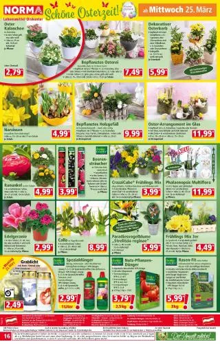Norma Flugblatt von 23. März bis 29. März 2026 - Flugblätt seite  16