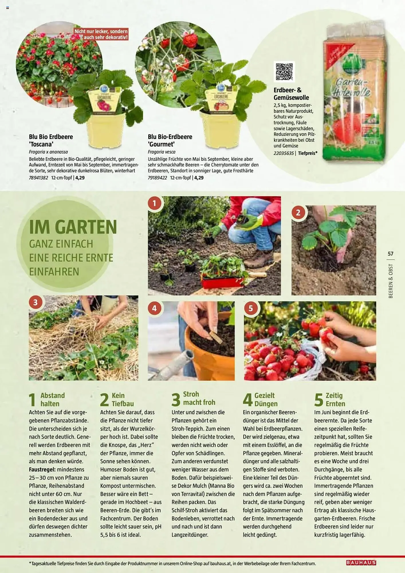 Bauhaus Flugblatt von 1. Juli bis 6. März 2026 - Flugblätt seite 57
