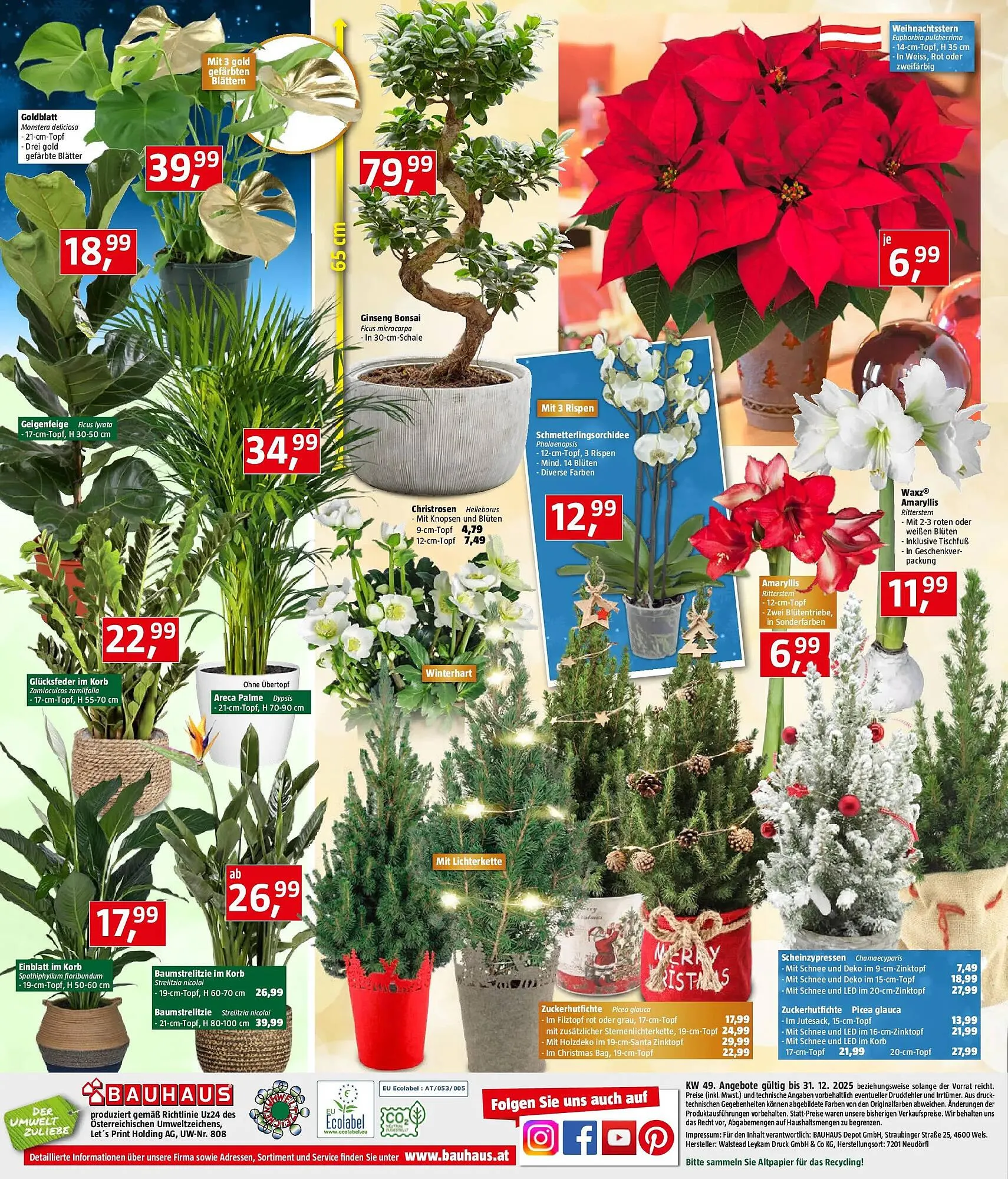 Bauhaus Flugblatt von 3. Dezember bis 31. Dezember 2025 - Flugblätt seite  24