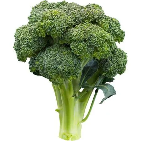 Broccoli 500 gr