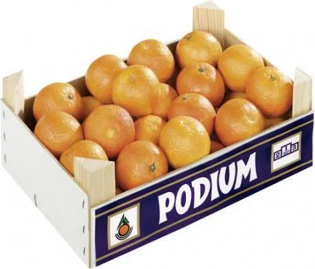 Clementinen frisch Spanien