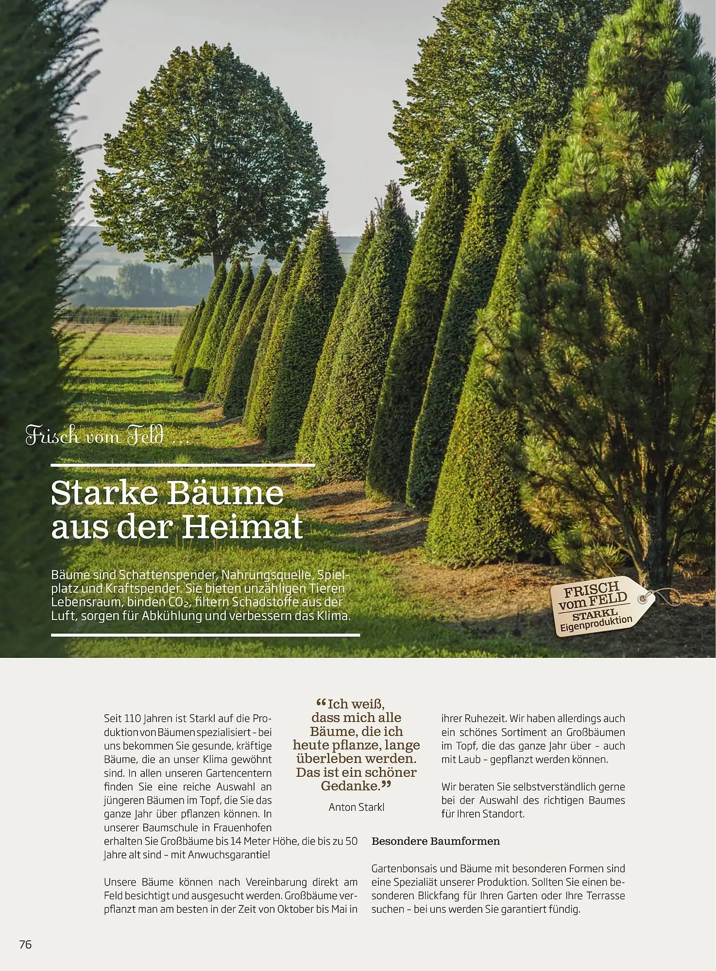 Starkl Flugblatt von 1. April bis 31. Dezember 2024 - Flugblätt seite  76