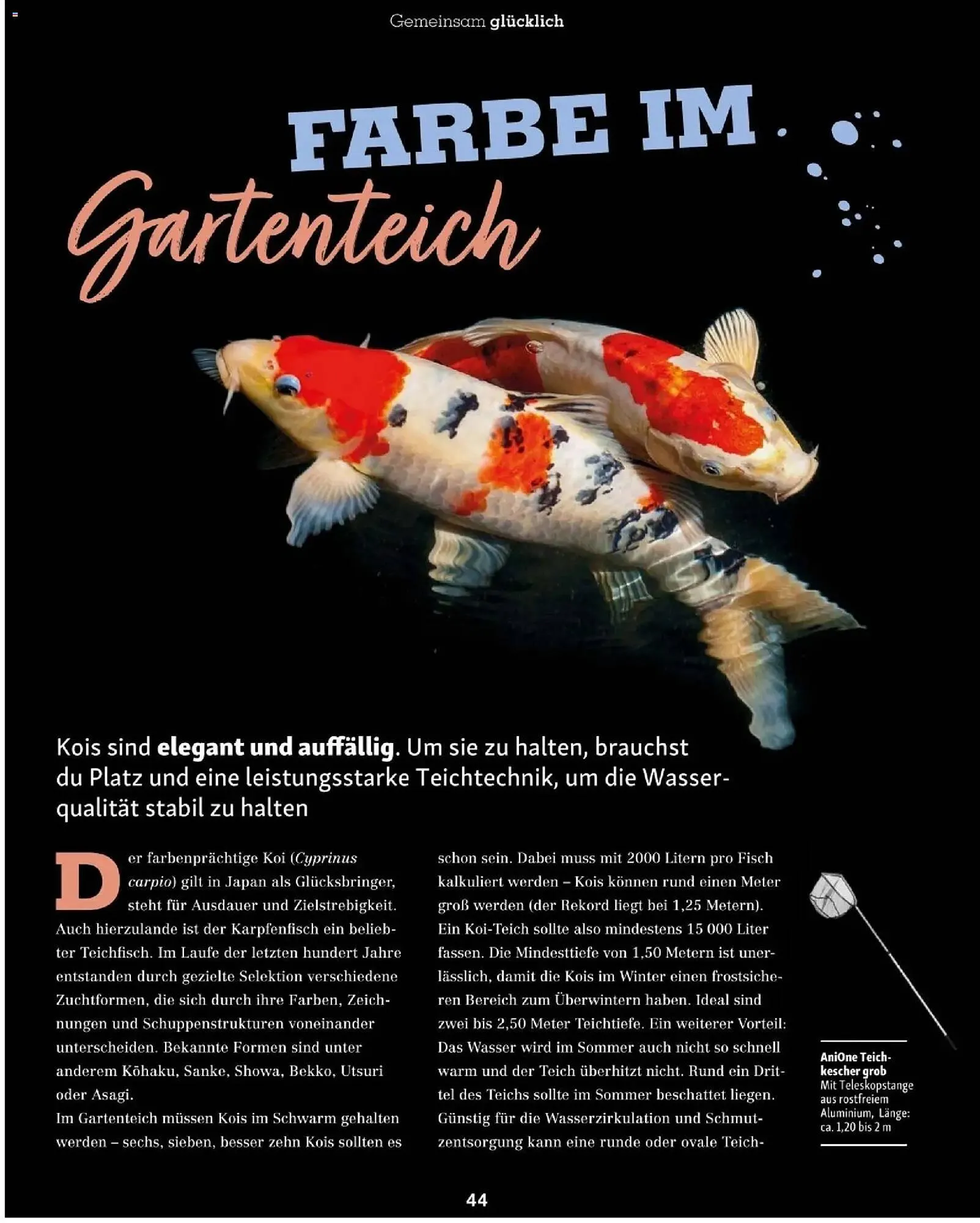 Fressnapf Flugblatt von 1. März bis 30. April 2026 - Flugblätt seite 44