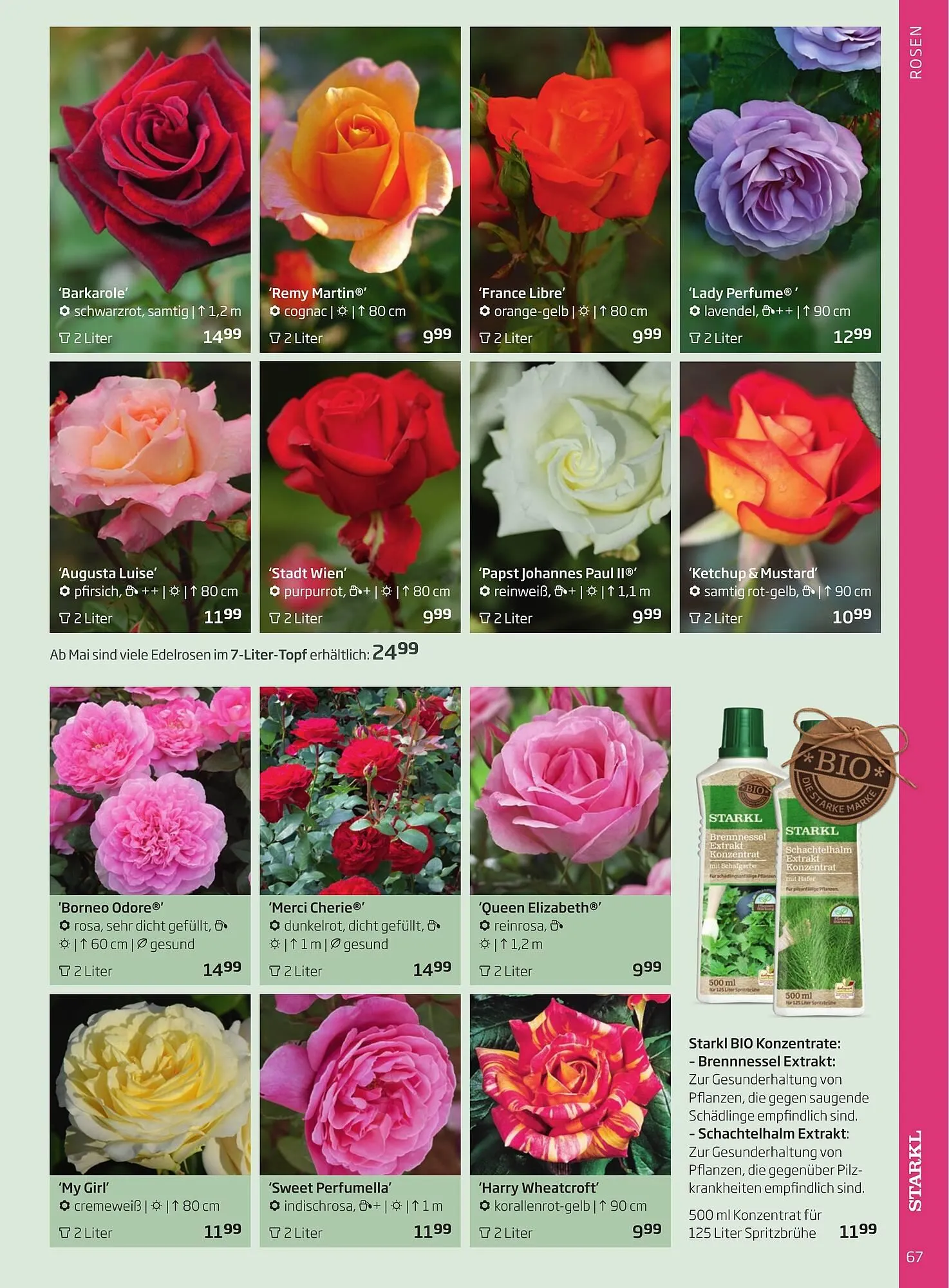 Starkl Flugblatt von 1. Jänner bis 31. Dezember 2023 - Flugblätt seite  67