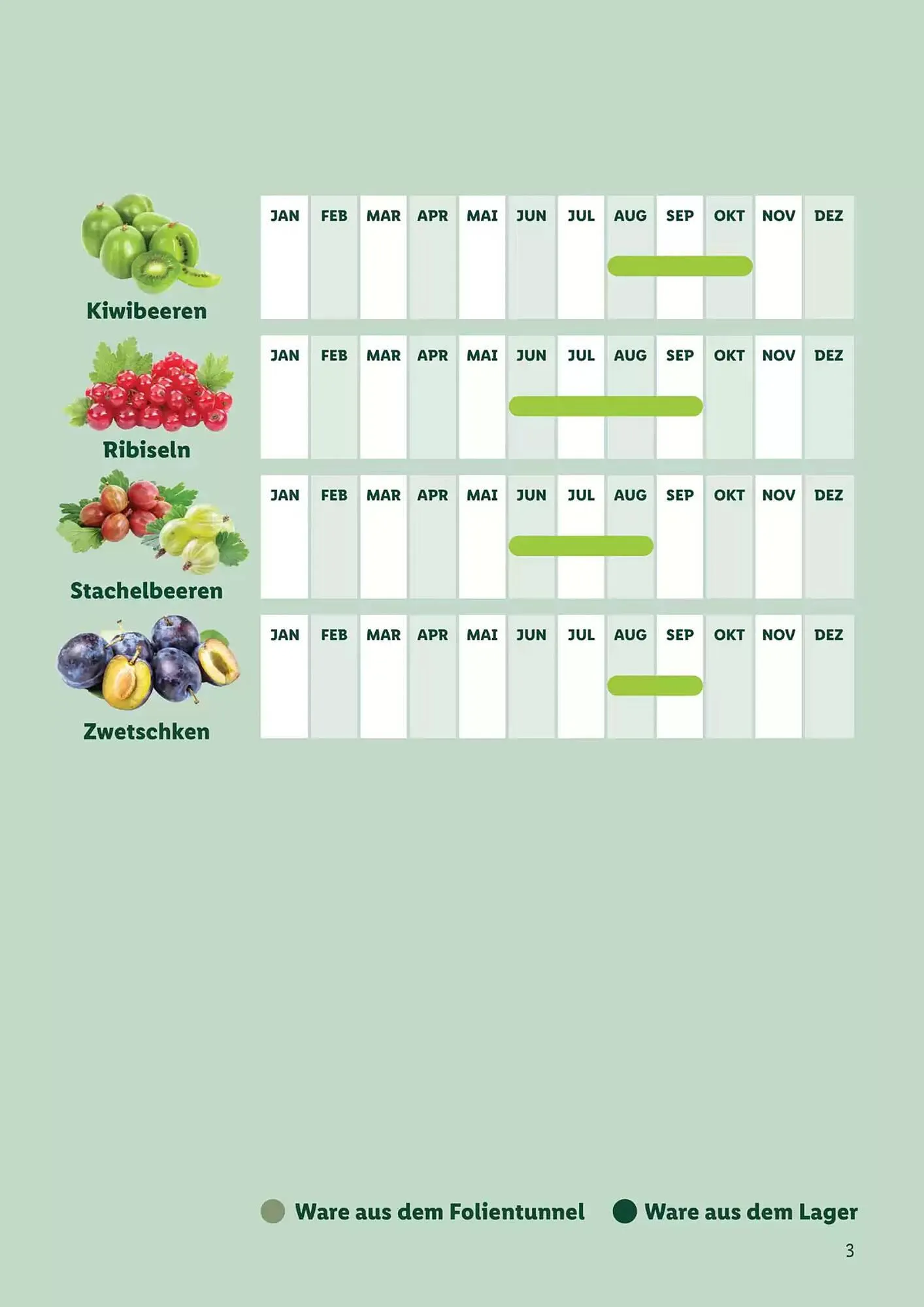 Lidl Flugblatt von 1. September bis 1. September 2026 - Flugblätt seite  3