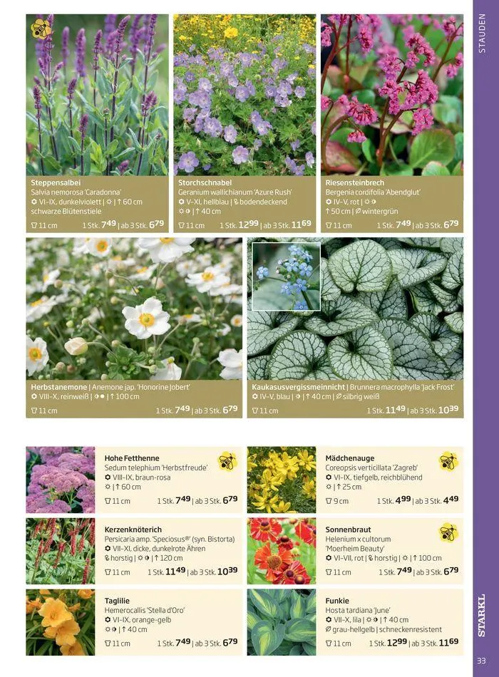 Gartencenter Jahreskatalog 2024 von 20. Mai bis 31. Dezember 2024 - Flugblätt seite 33