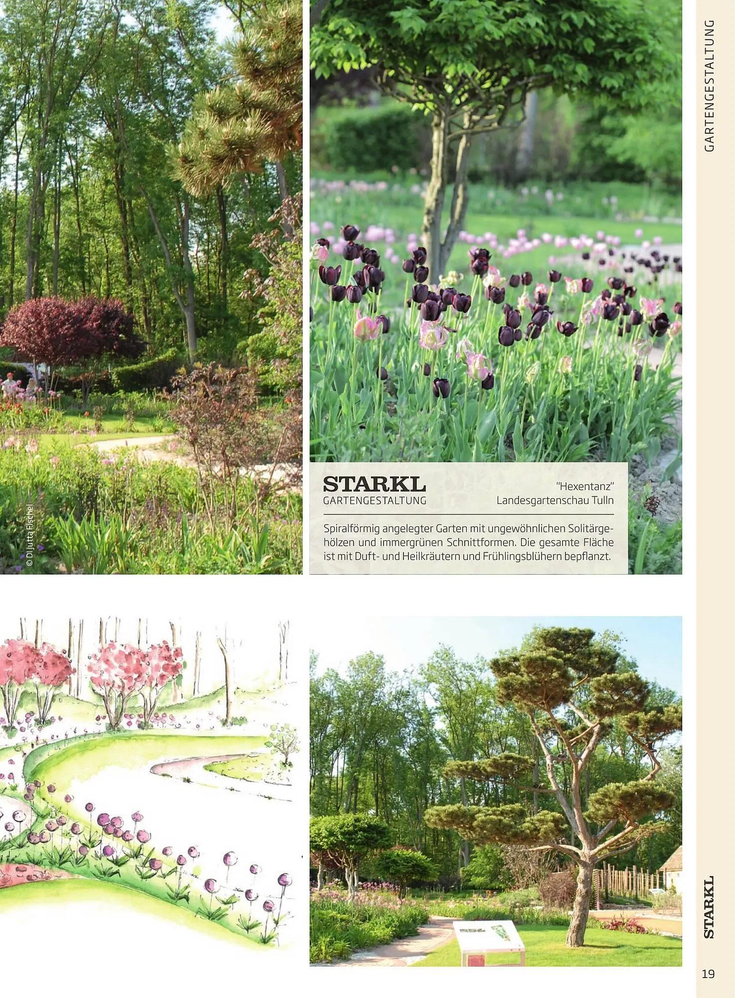 Starkl Flugblatt von 6. Juni bis 31. Dezember 2025 - Flugblätt seite  19