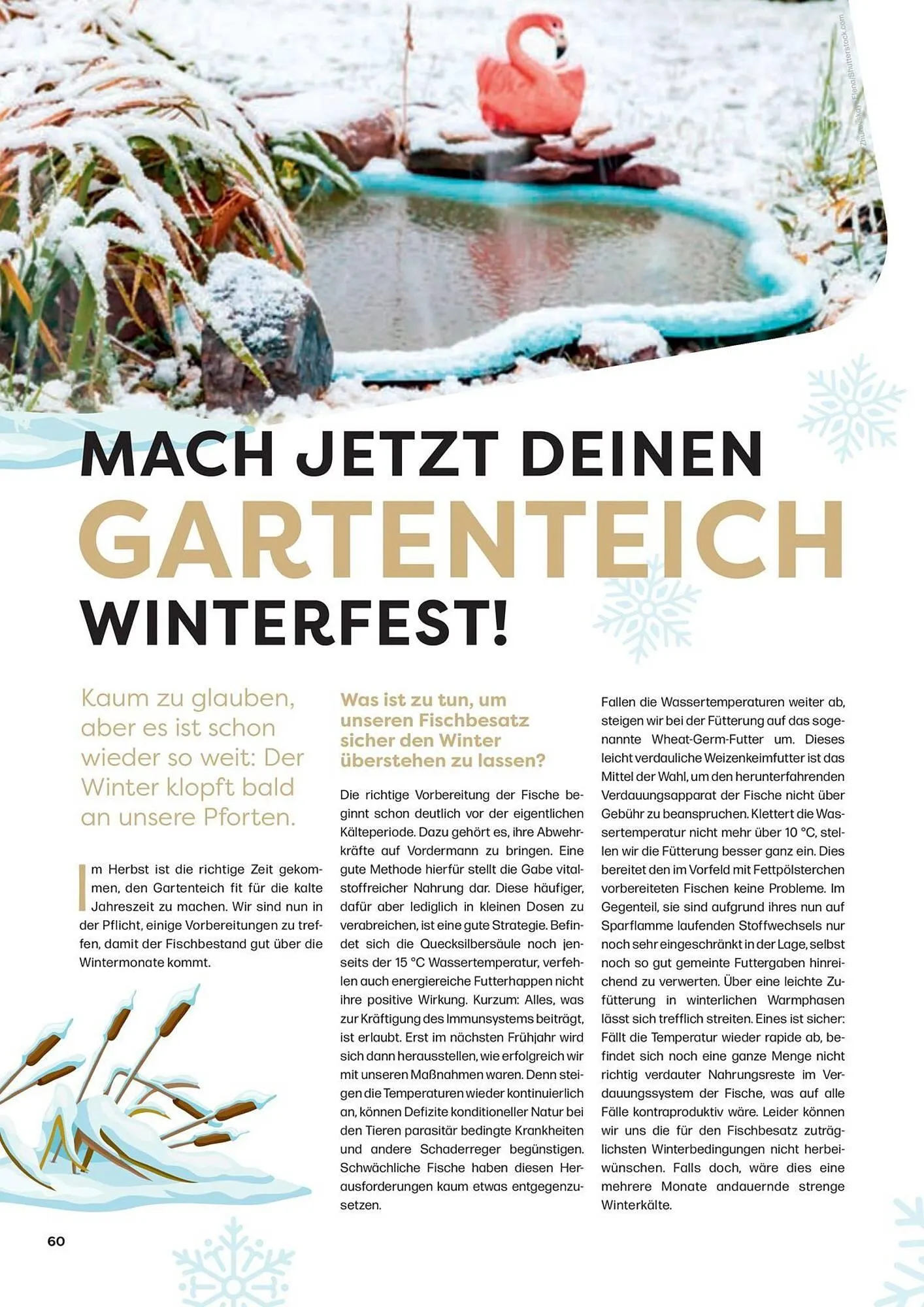 ZOO & Co Flugblatt von 30. August bis 8. November 2024 - Flugblätt seite 60