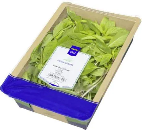 Basilikum Thai frisch Kenia