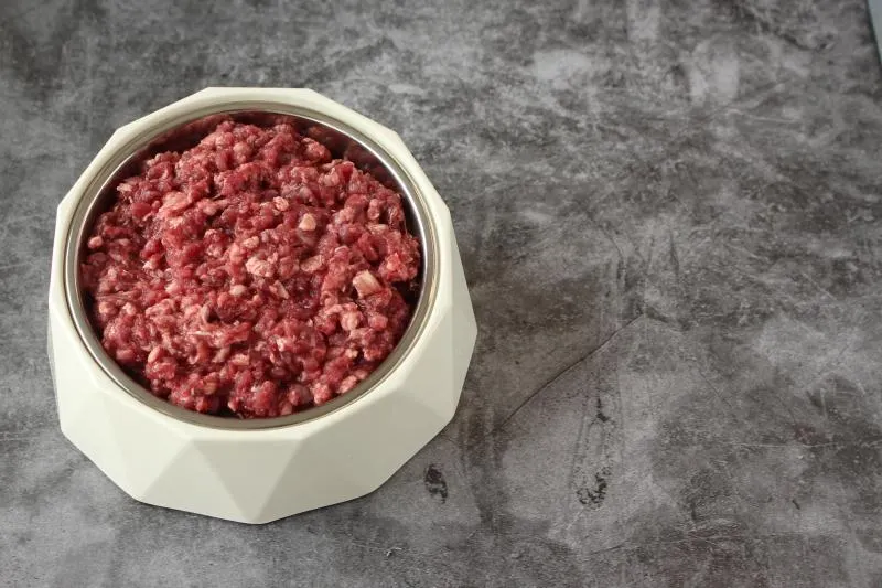 Hund Wildfleisch faschiert roh