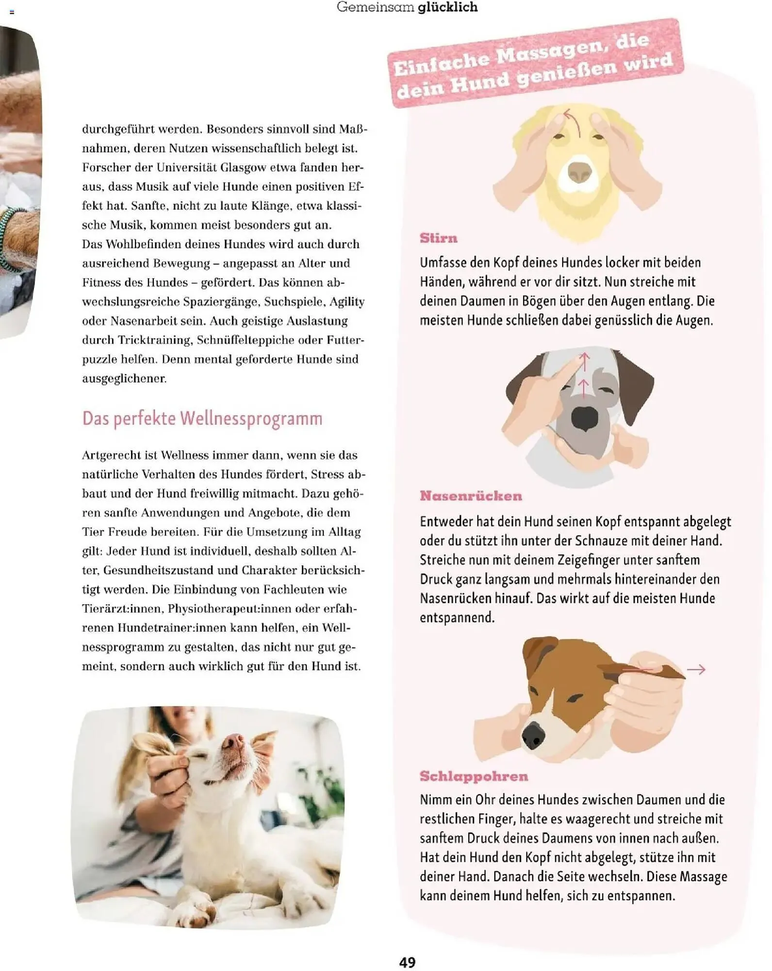 Fressnapf Flugblatt von 1. November bis 31. Dezember 2025 - Flugblätt seite  49