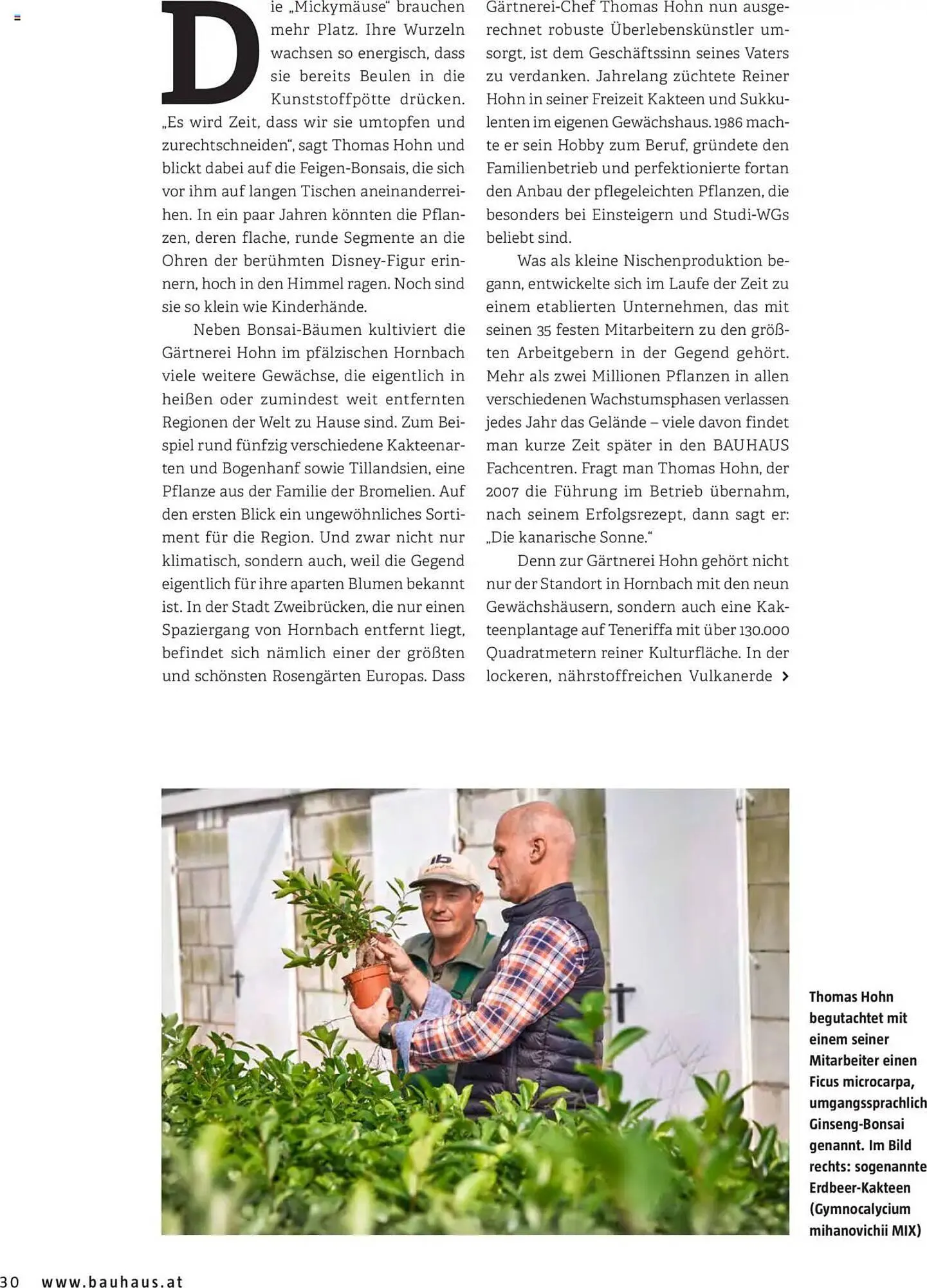 Bauhaus Flugblatt von 1. Oktober bis 31. März 2026 - Flugblätt seite  30