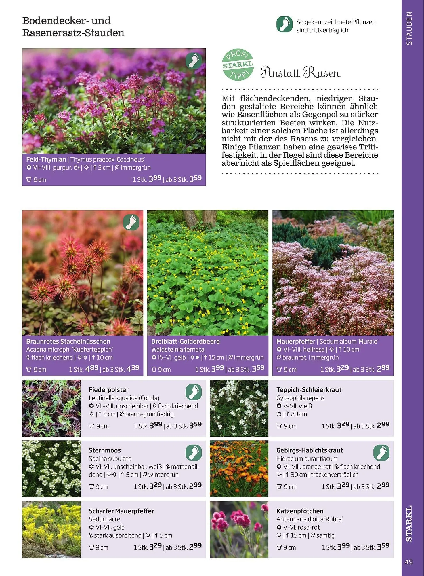Starkl Flugblatt von 1. Jänner bis 31. Dezember 2023 - Flugblätt seite  49