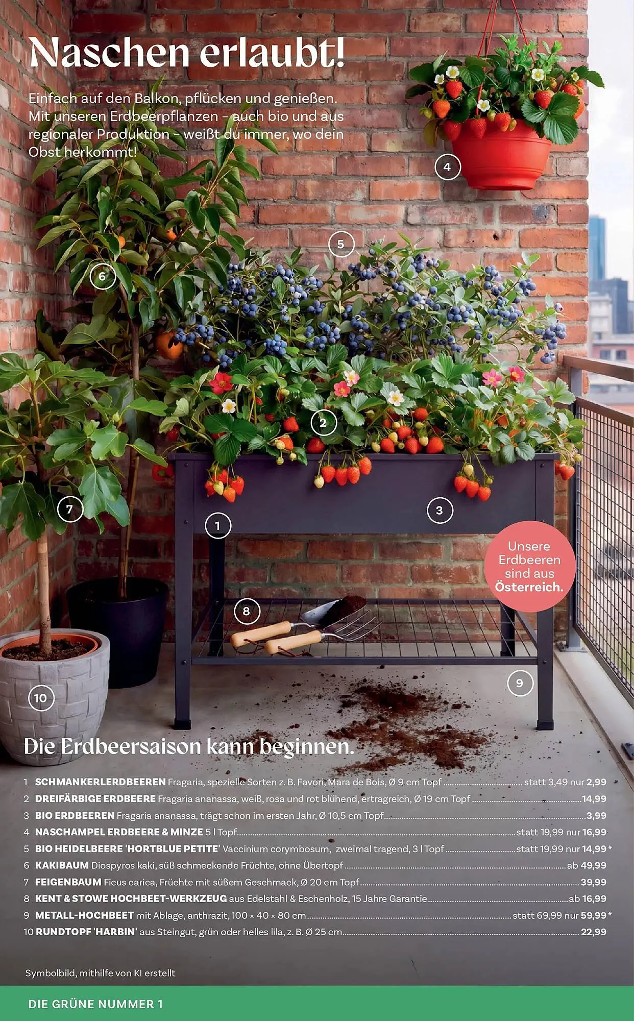 Bellaflora Flugblatt von 2. April bis 11. April 2026 - Flugblätt seite  4