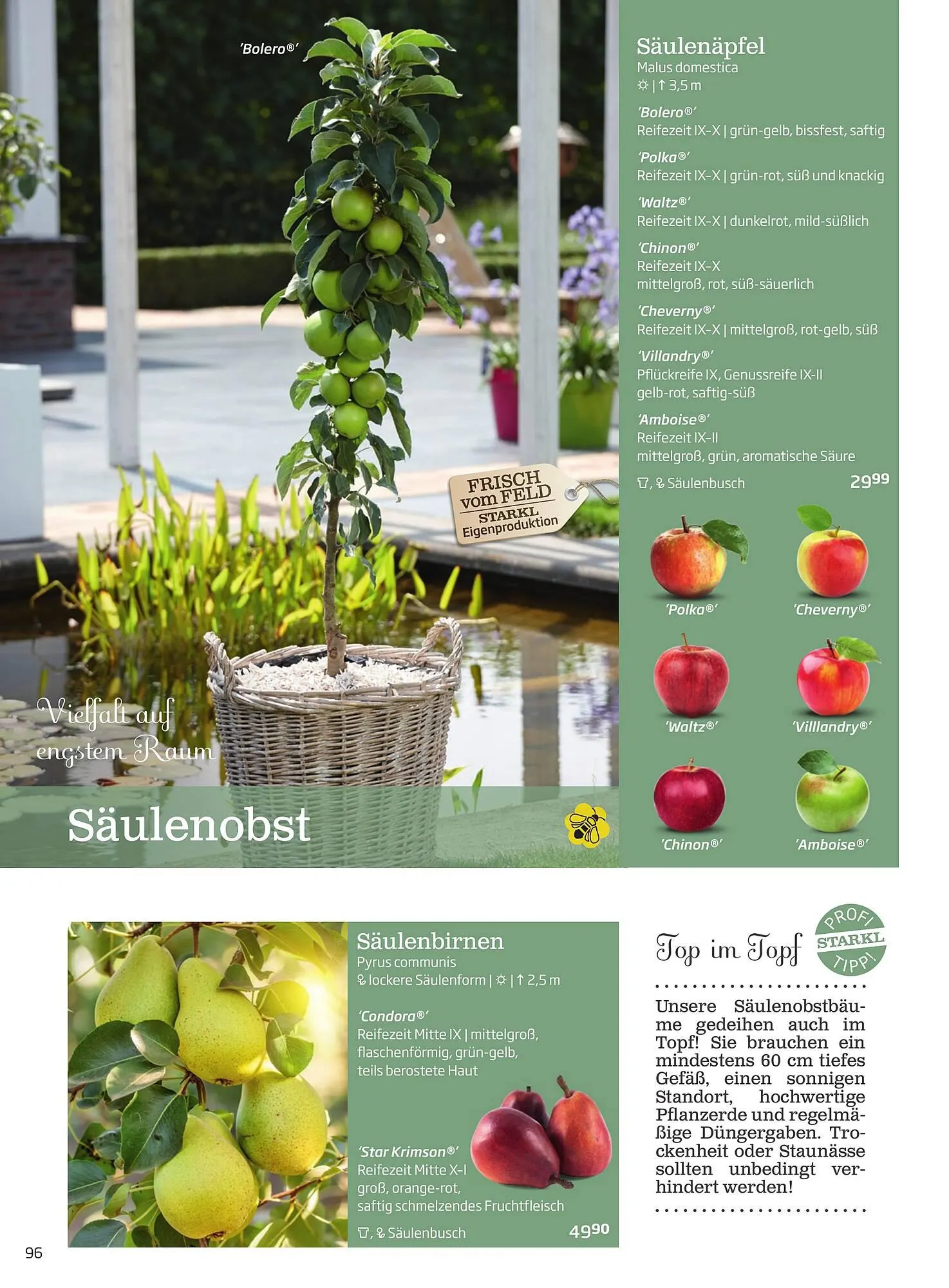 Starkl Flugblatt von 1. April bis 31. Dezember 2024 - Flugblätt seite 96