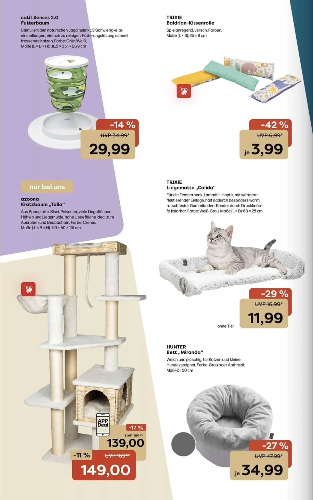 ZOO & Co Flugblatt von 27. Oktober bis 2. November 2025 - Flugblätt seite  6