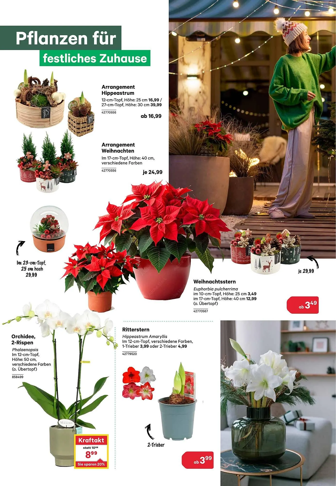 BayWa Prospekt von 4. November bis 15. November 2025 - Flugblätt seite 10