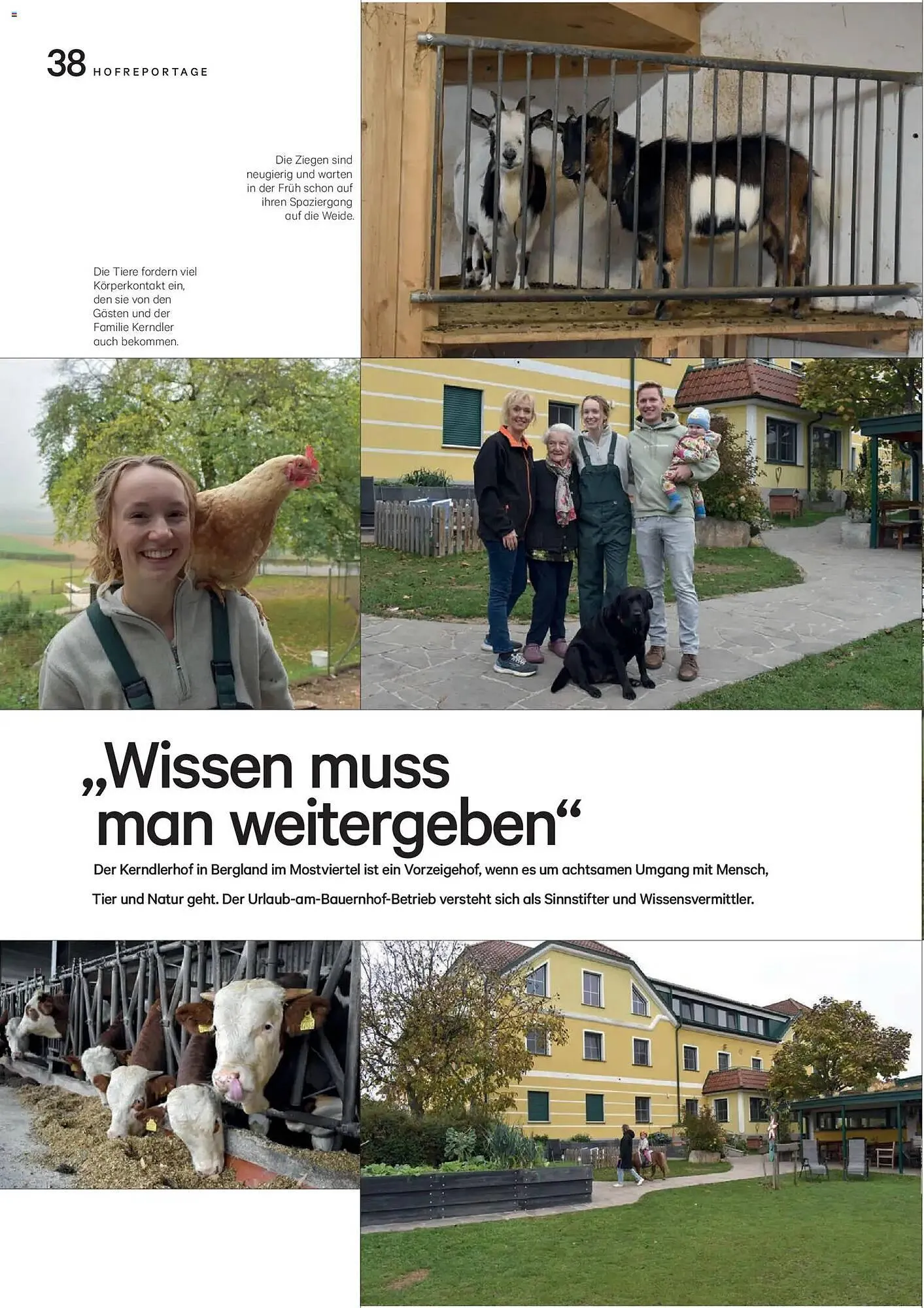 Lagerhaus Flugblatt von 1. Dezember bis 31. Dezember 2025 - Flugblätt seite  38