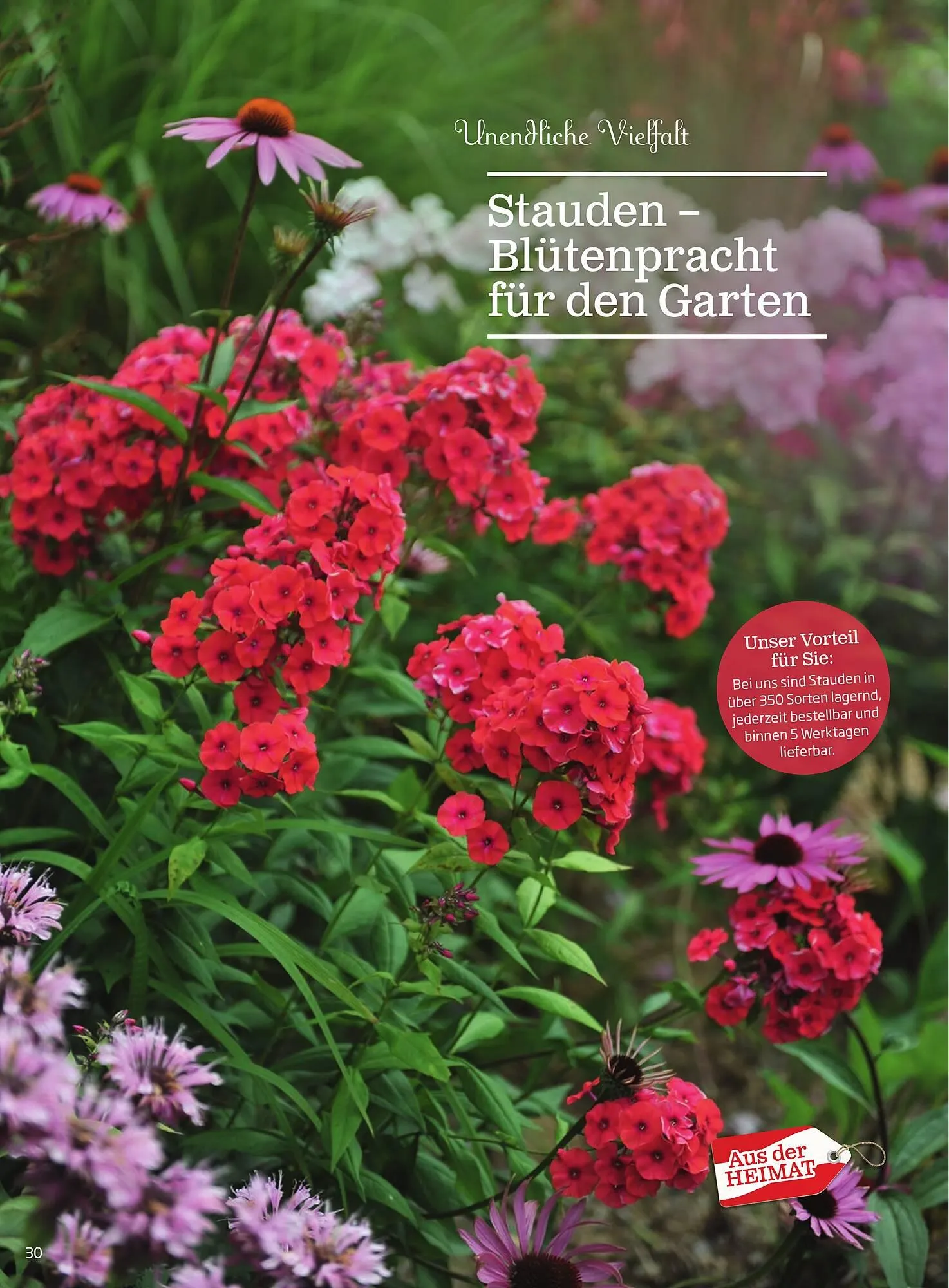 Starkl Flugblatt von 1. Jänner bis 31. Dezember 2023 - Flugblätt seite  30