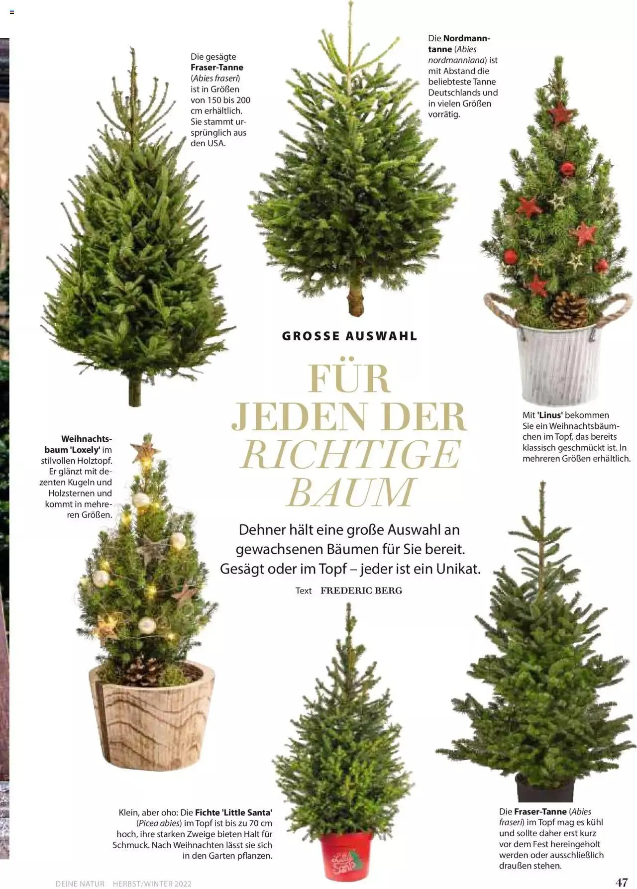 Dehner Flugblatt von 10. Oktober bis 31. Dezember 2023 - Flugblätt seite  47