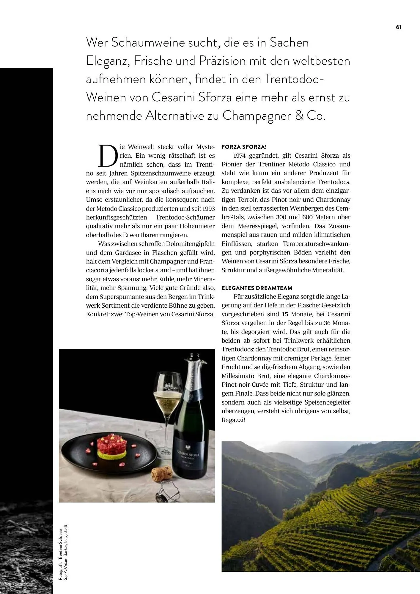 Transgourmet Flugblatt von 13. Februar bis 31. März 2026 - Flugblätt seite  63