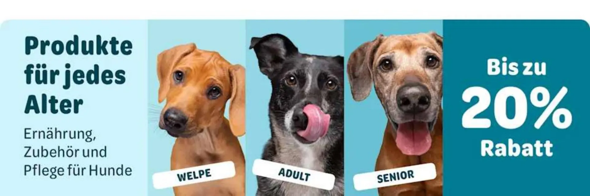 Zooplus Flugblatt von 7. April bis 13. April 2026 - Flugblätt seite  6