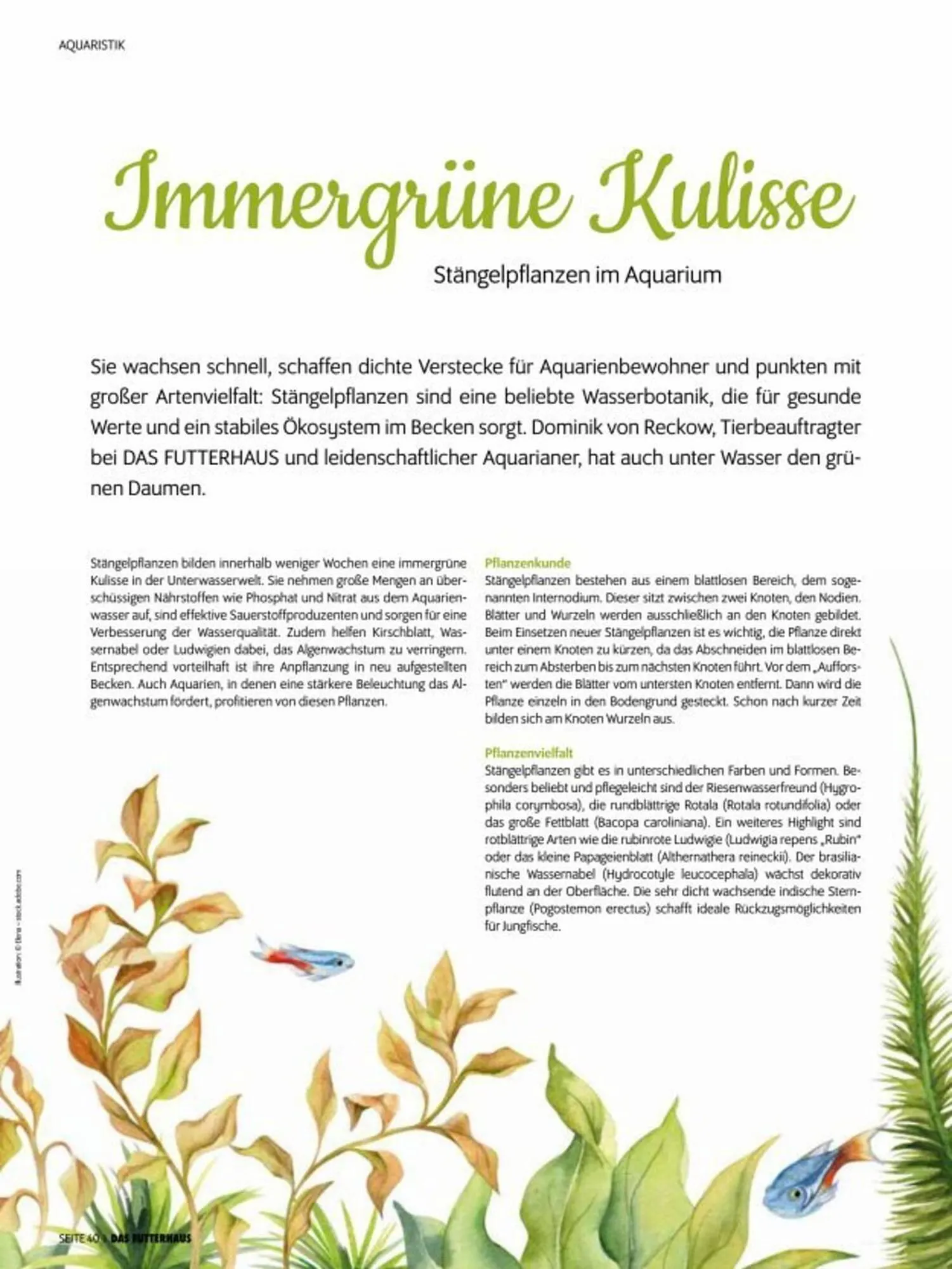 Das Futterhaus Prospekt von 3. Oktober bis 30. November 2025 - Flugblätt seite 40