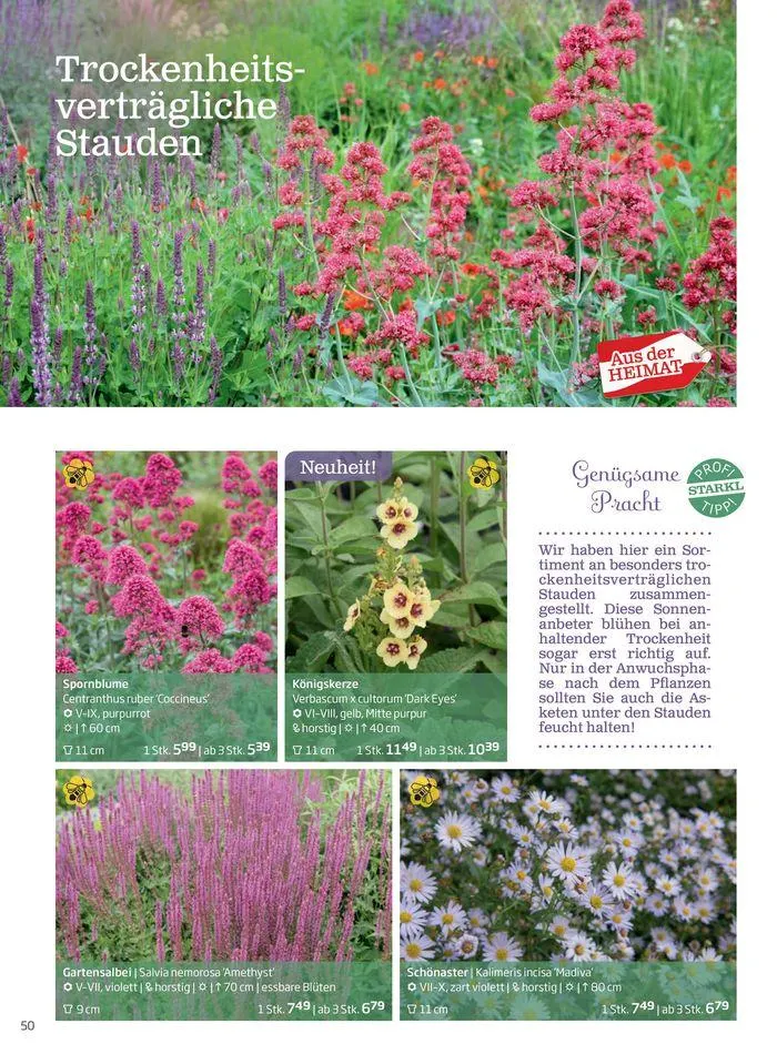 Gartencenter Jahreskatalog 2024 von 20. Mai bis 31. Dezember 2024 - Flugblätt seite  50