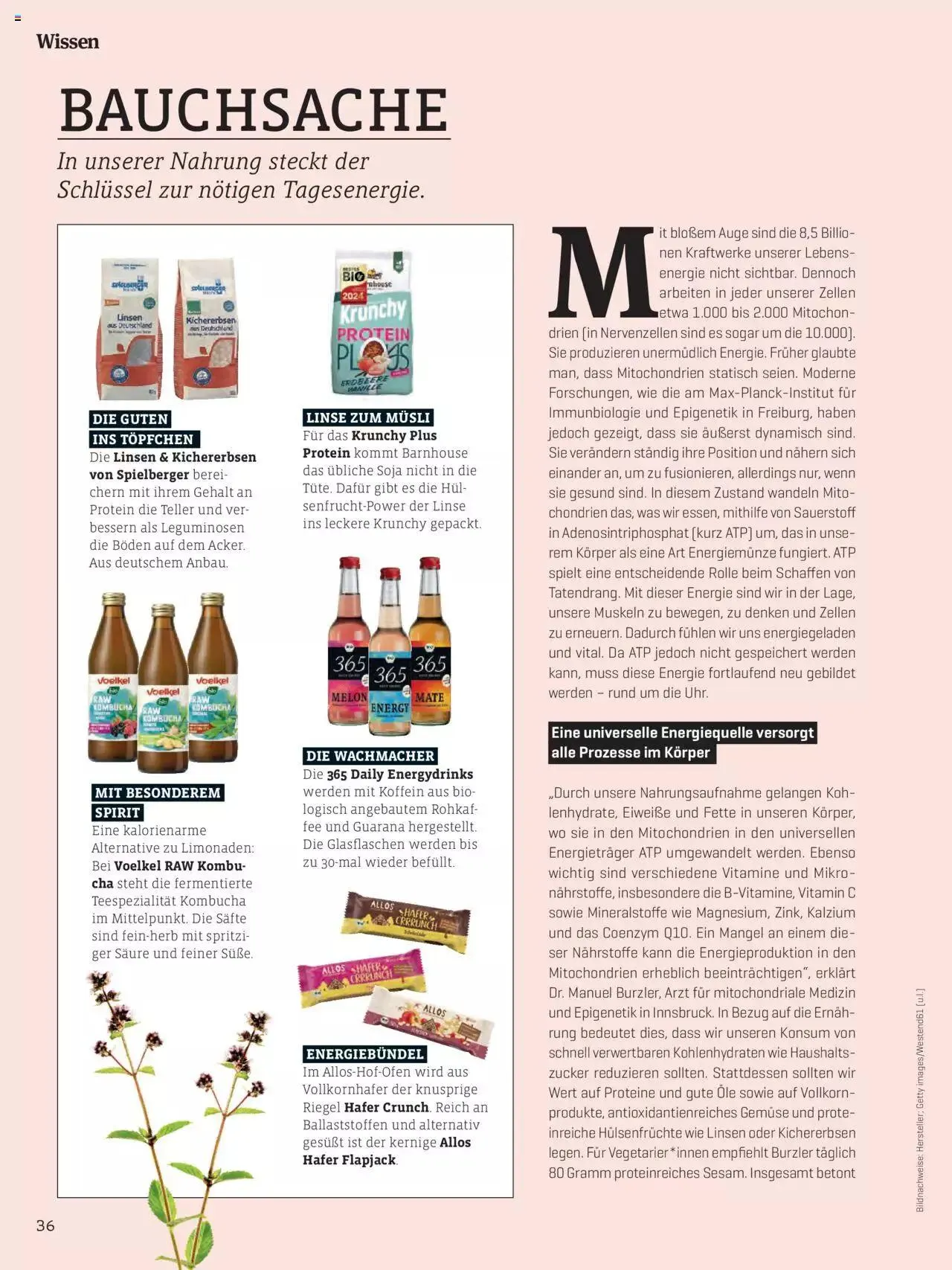 Denns BioMarkt KREO Magazin von 14. Februar bis 3. März 2024 - Flugblätt seite  36