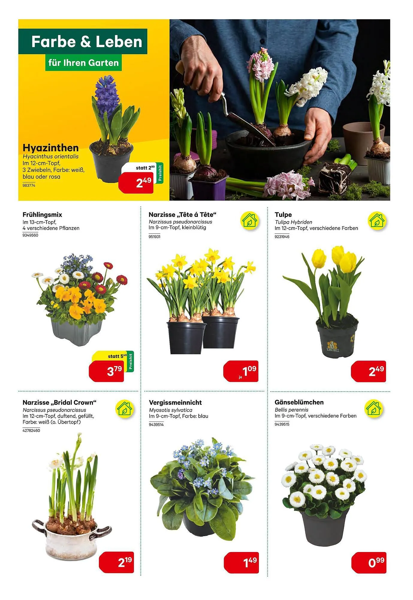 BayWa Flugblatt von 14. März bis 30. März 2024 - Flugblätt seite 6