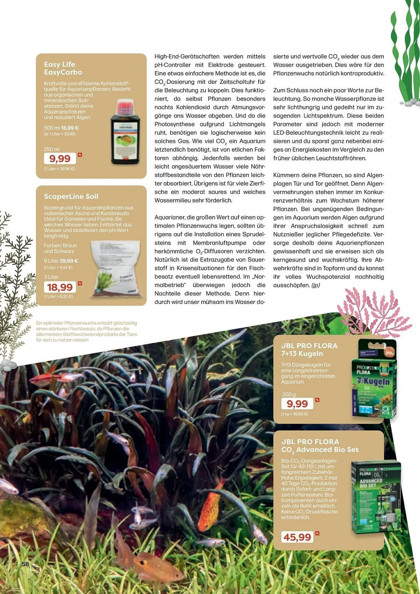 ZOO & Co Flugblatt von 30. August bis 8. November 2024 - Flugblätt seite 58