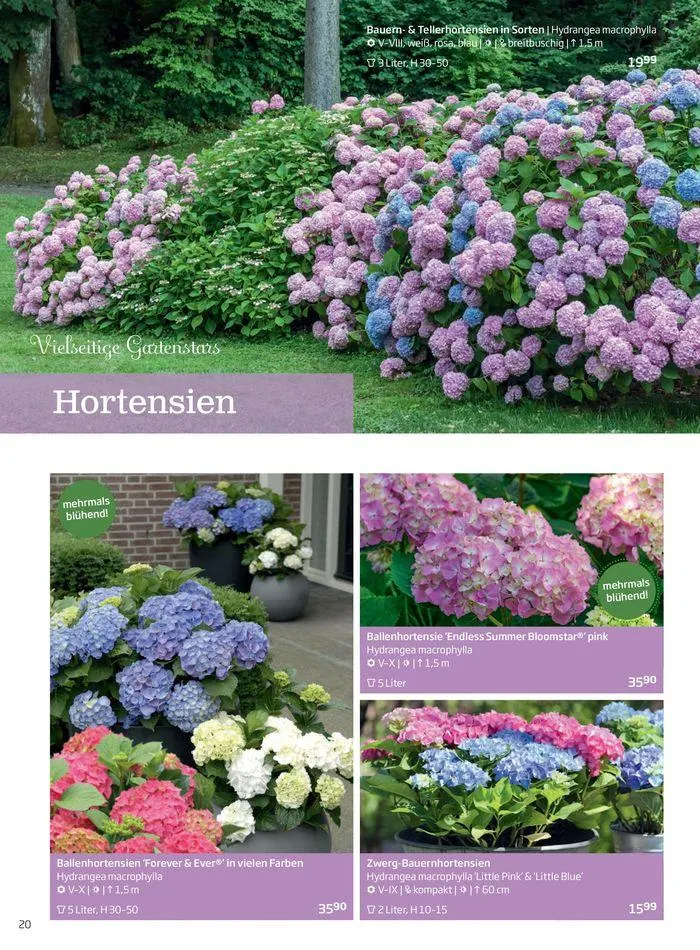 Gartencenter Jahreskatalog 2024 von 20. Mai bis 31. Dezember 2024 - Flugblätt seite 20