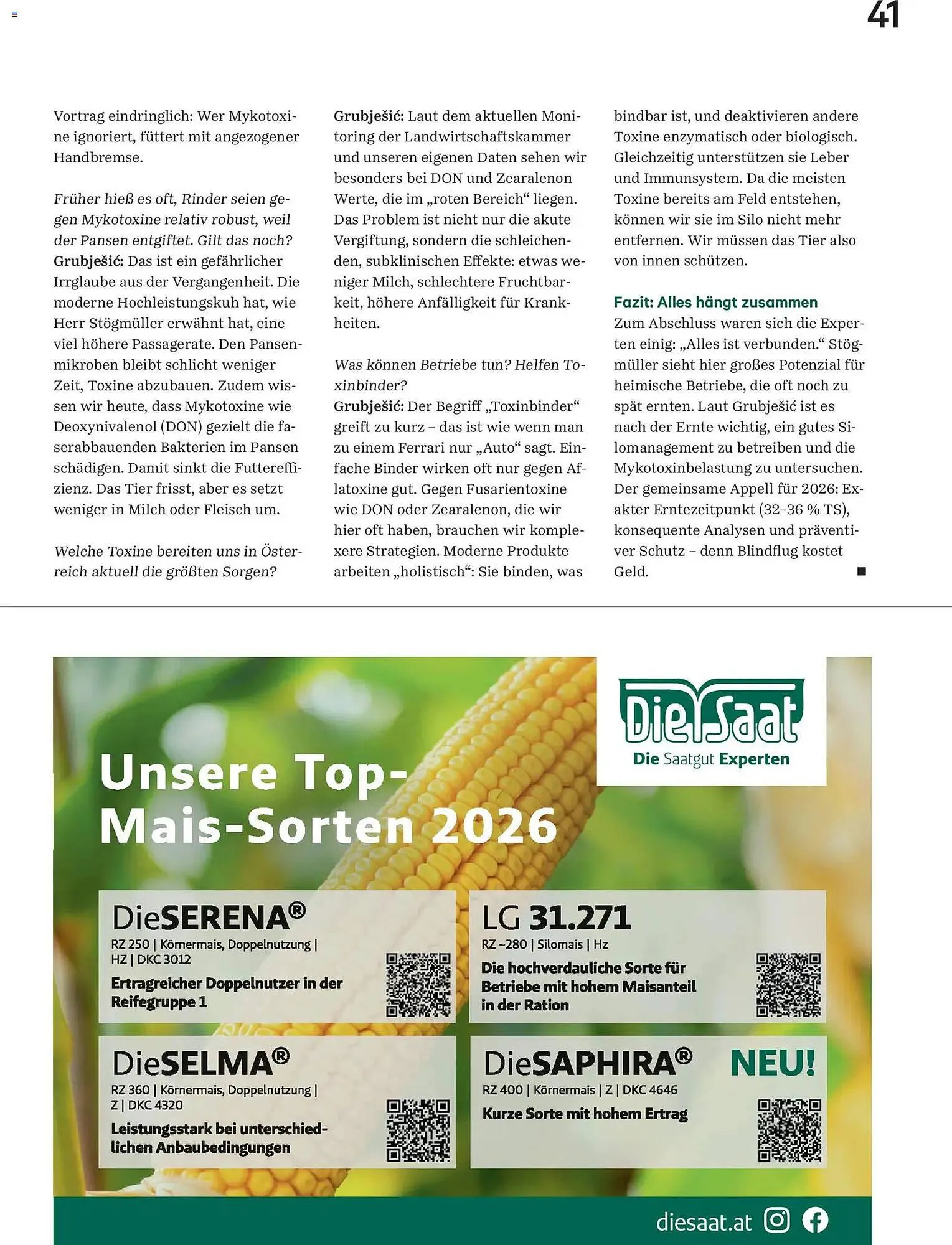 Lagerhaus Flugblatt von 1. Jänner bis 28. Februar 2026 - Flugblätt seite 41