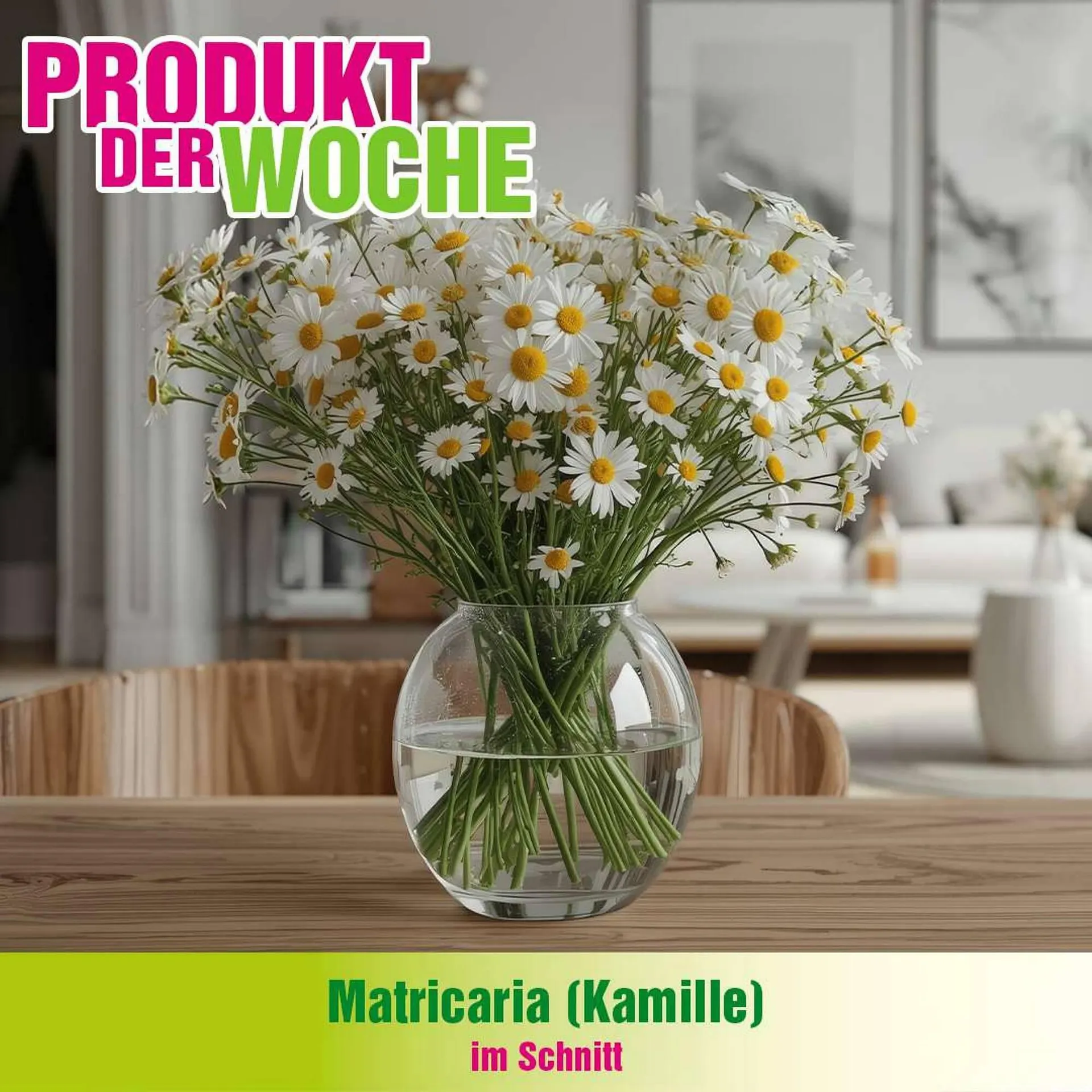 Blumen B&B Flugblatt von 7. April bis 20. April 2026 - Flugblätt seite  1