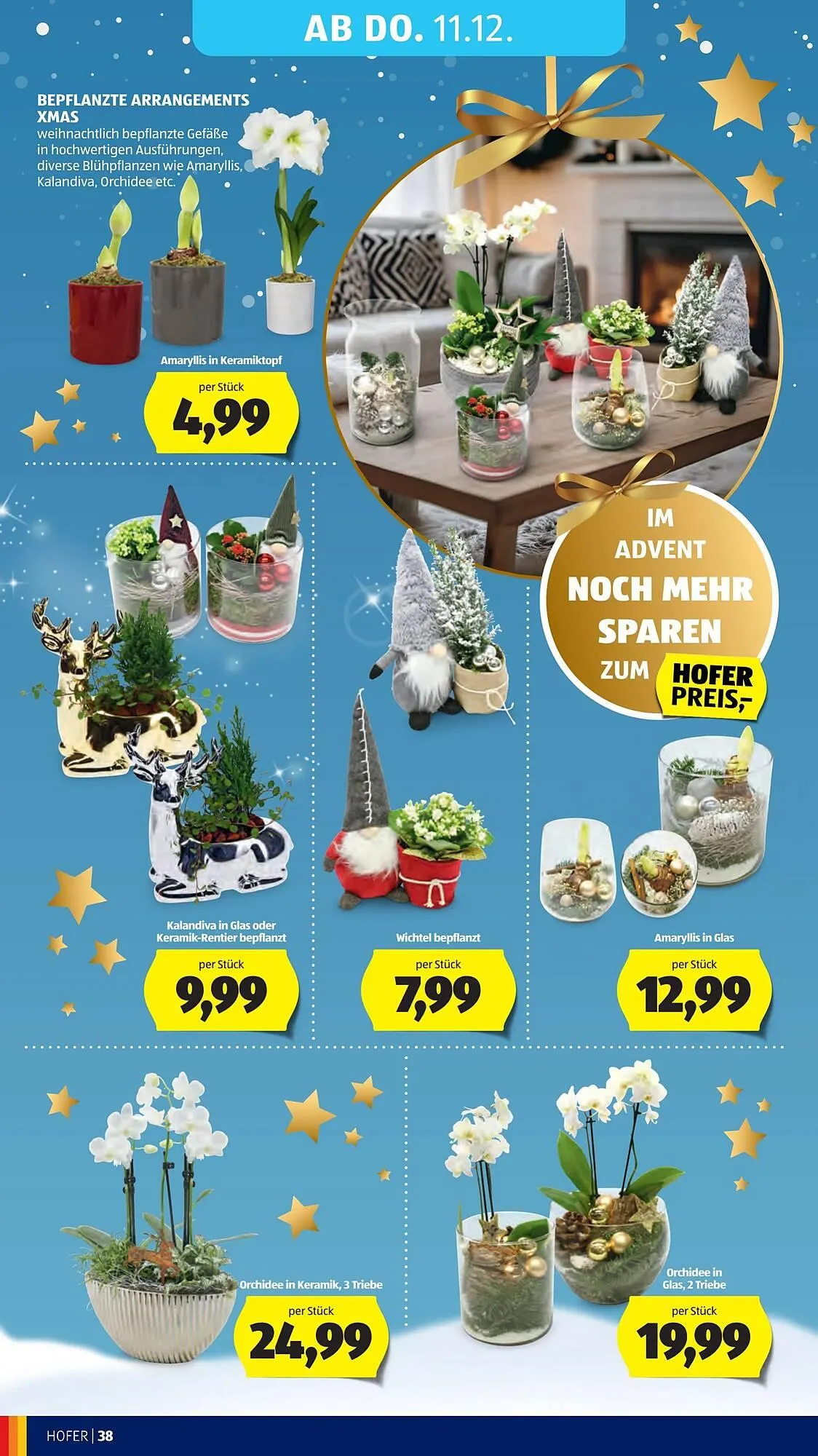 Hofer Flugblatt von 5. Dezember bis 12. Dezember 2025 - Flugblätt seite  52
