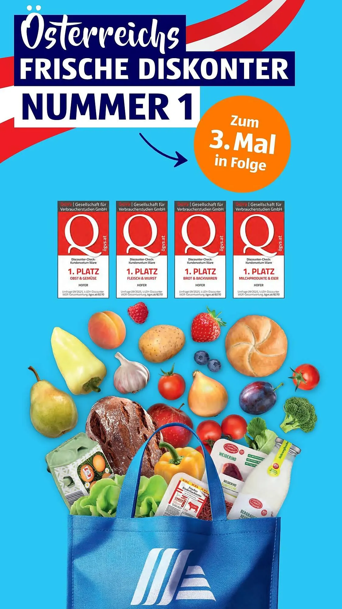 Hofer Flugblatt von 17. Oktober bis 23. Oktober 2025 - Flugblätt seite  23