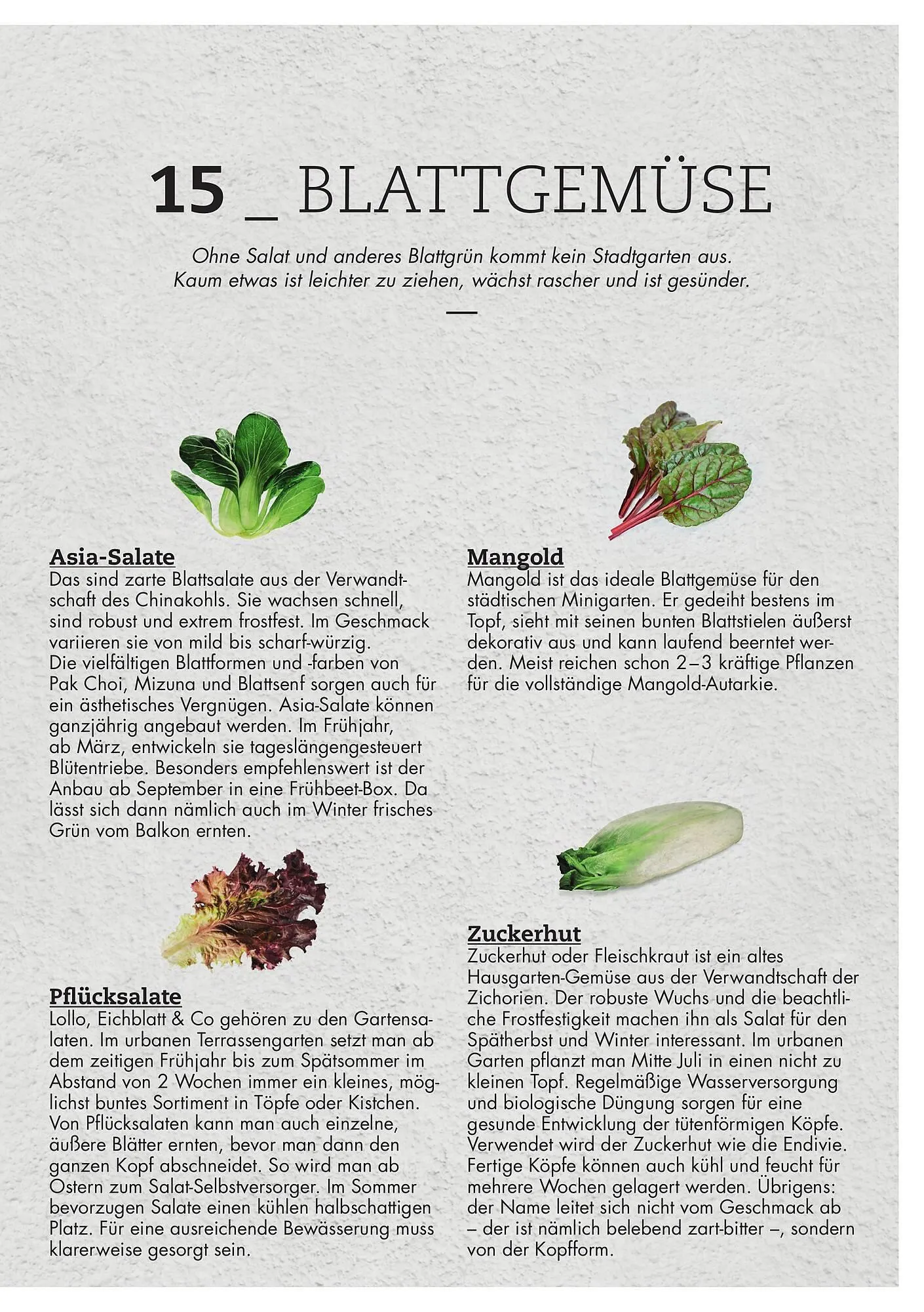 Bellaflora Flugblatt von 3. Jänner bis 31. Mai 2025 - Flugblätt seite 15