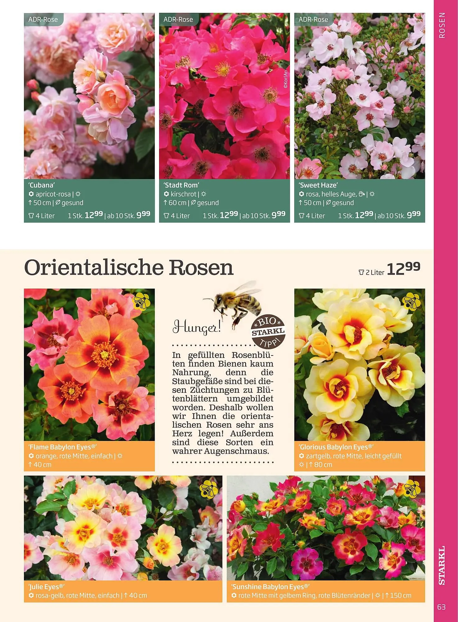 Starkl Flugblatt von 1. April bis 31. Dezember 2024 - Flugblätt seite  63