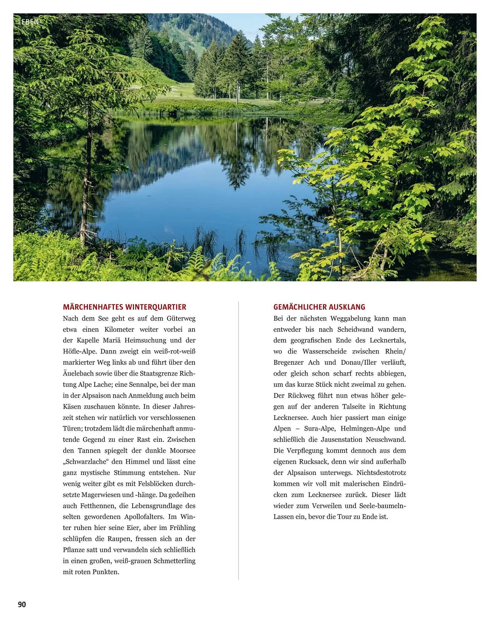 Sutterlüty Flugblatt von 19. November bis 9. Dezember 2024 - Flugblätt seite  90