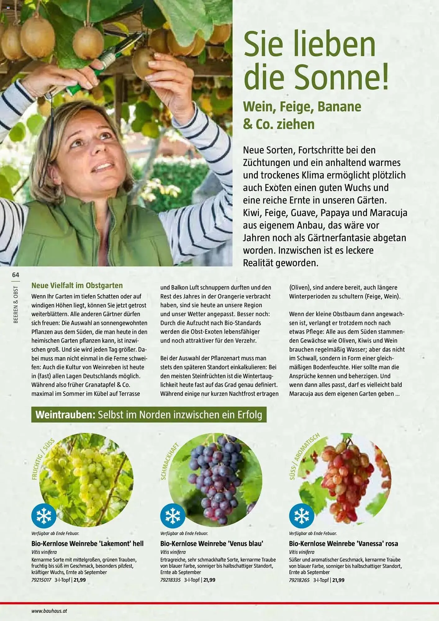 Bauhaus Flugblatt von 1. Juli bis 6. März 2026 - Flugblätt seite  64