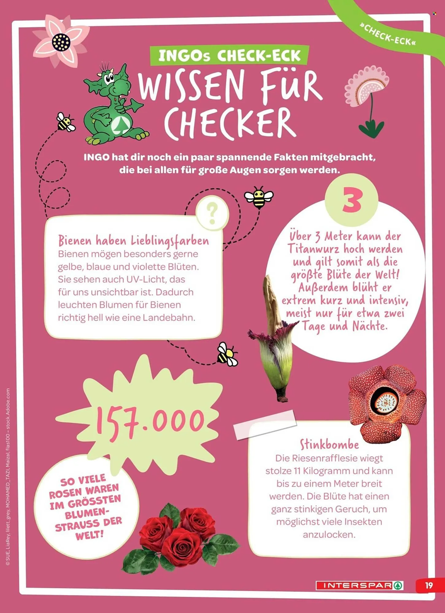 Interspar Flugblatt von 5. April bis 13. April 2026 - Flugblätt seite  19