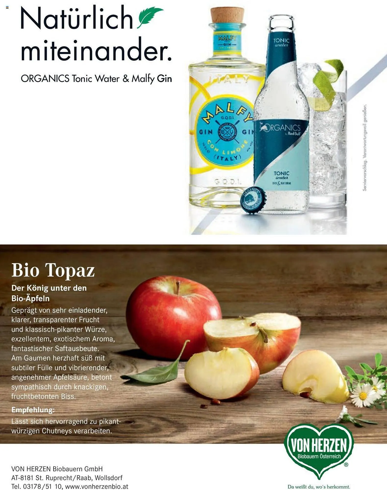 Billa Flugblatt von 1. Dezember bis 31. Dezember 2023 - Flugblätt seite  52