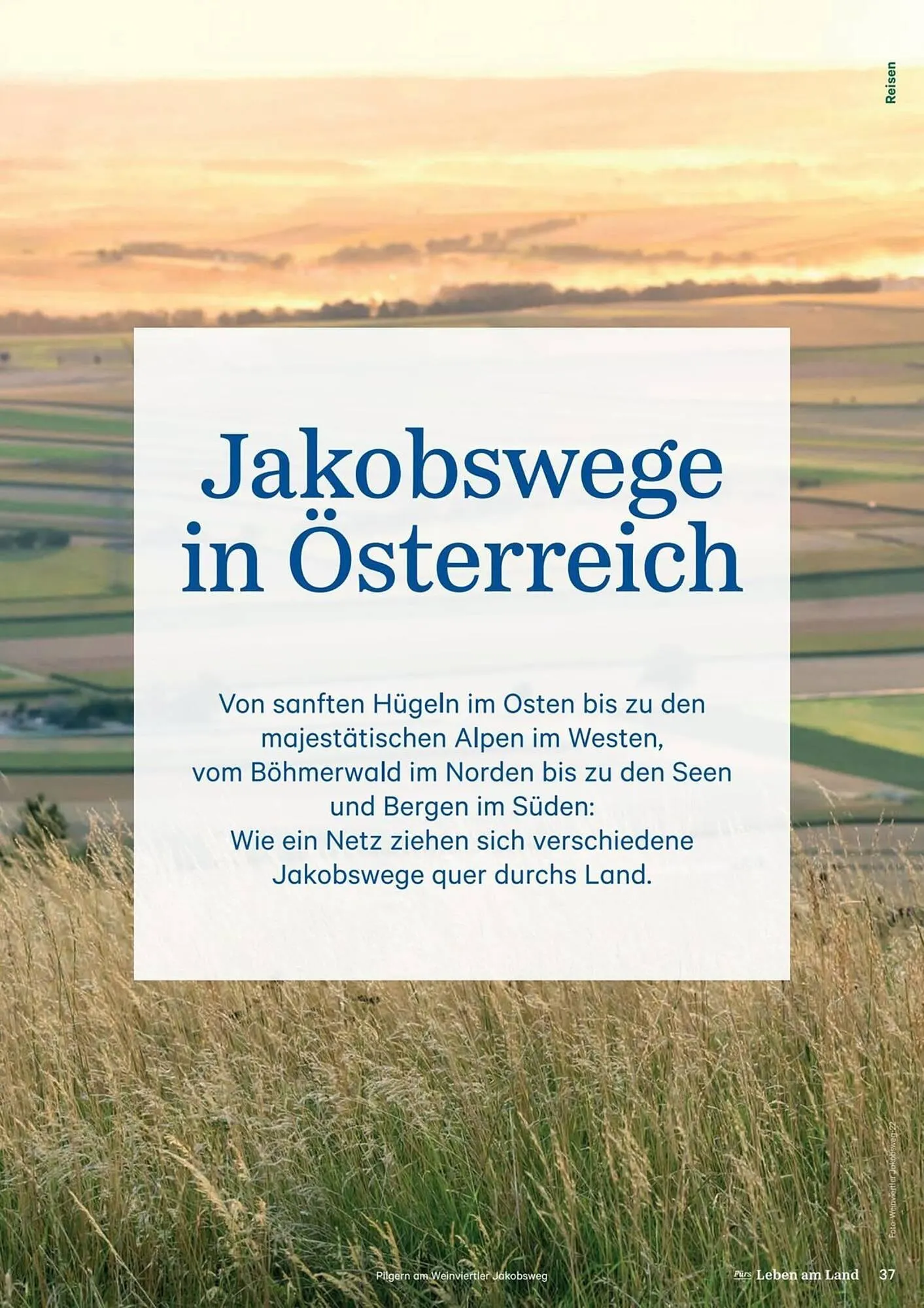 Lagerhaus Flugblatt von 1. Februar bis 28. Februar 2026 - Flugblätt seite  37