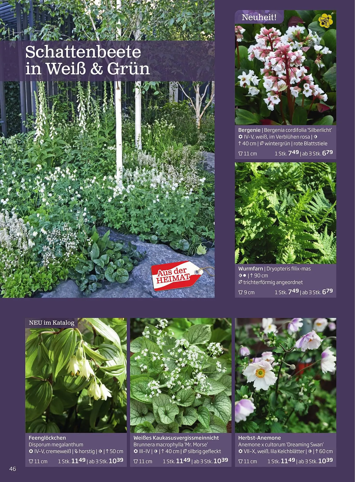 Starkl Flugblatt von 1. April bis 31. Dezember 2024 - Flugblätt seite  46